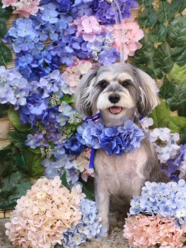 20250613パピコくん　